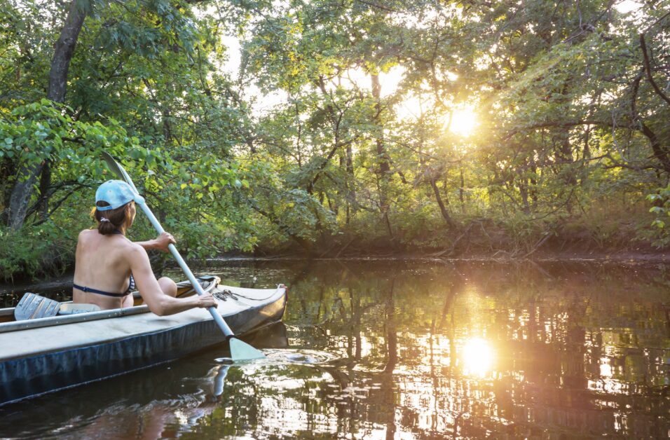 スクリーンショット 2025-12-23 12.06.50